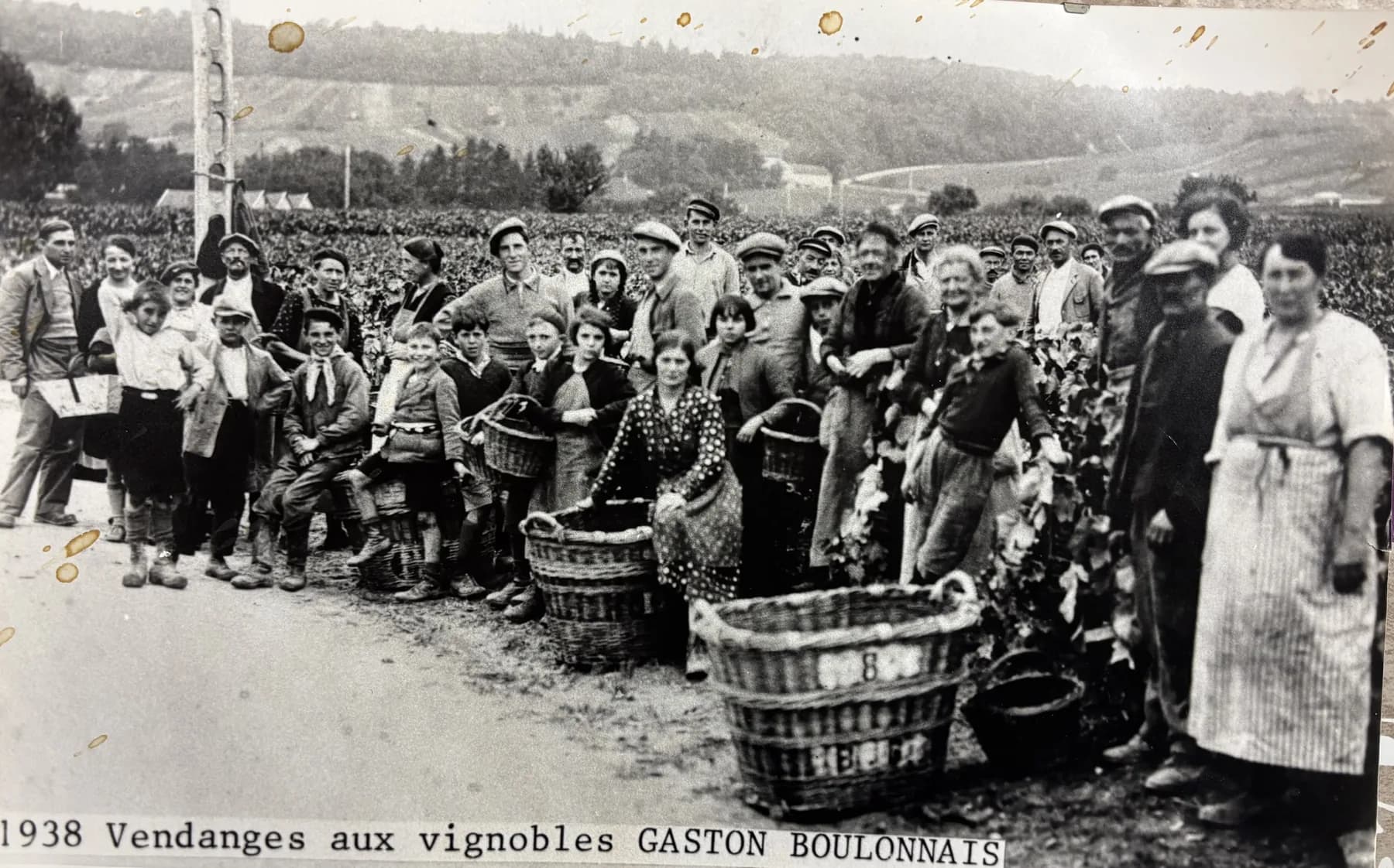 1938 · Vendanges aux vignobles Gaston Boulonnais