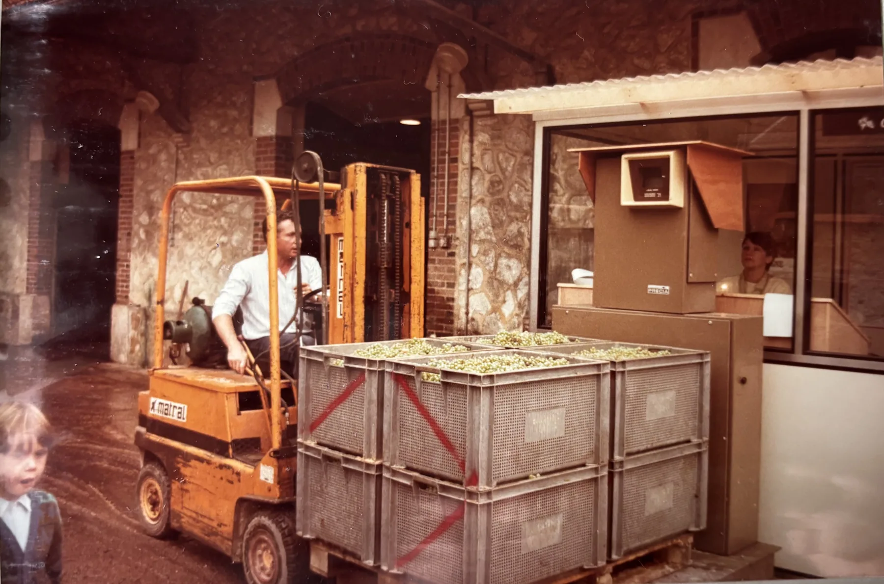 L’arrivée des raisins au pressoir