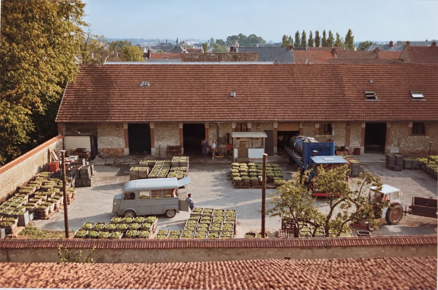 La cour du domaine pendant les vendanges 1991