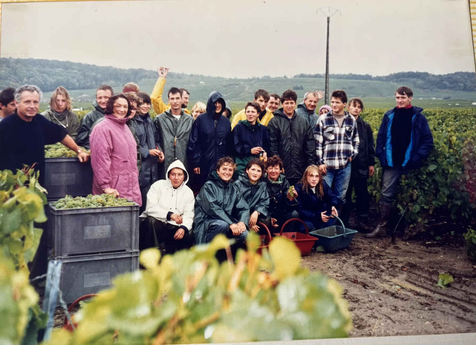 Vendanges 1994